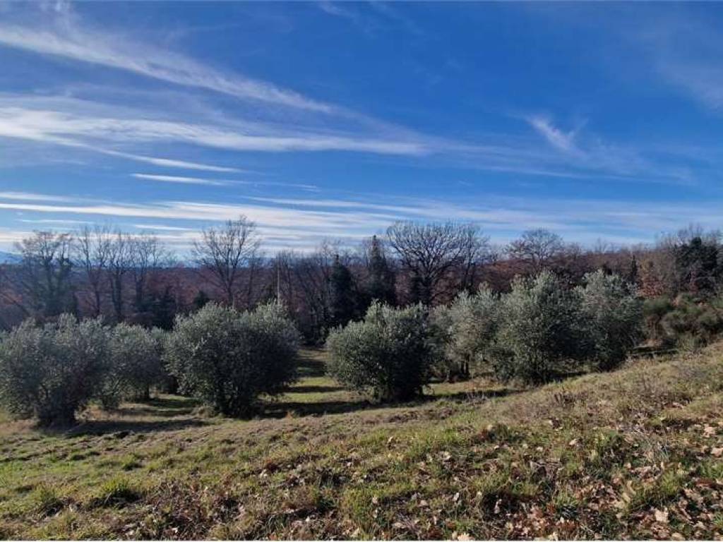 Rustico / casale a Massa martana in Vocabolo Cerquacottora , snc - Foto 5