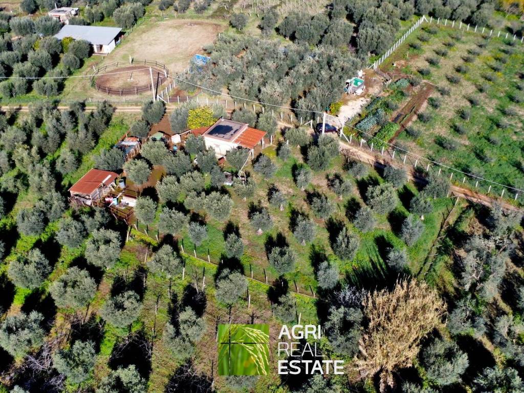 Terreno a Cori in Via Monsignore, 2 - Foto 2