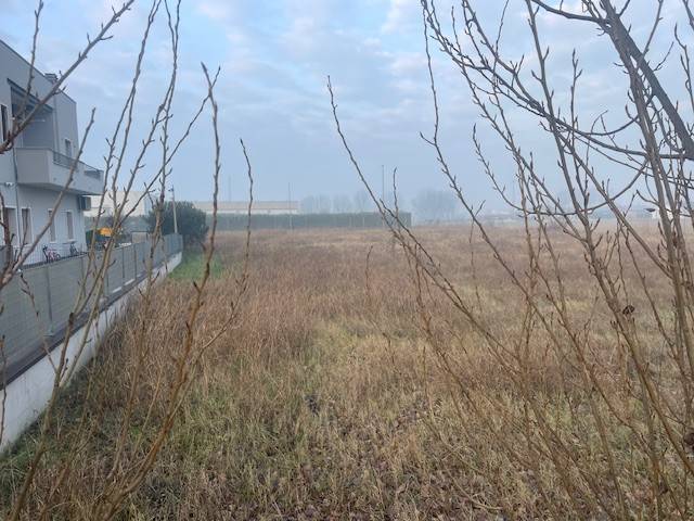 Terreno a Isola della scala - Foto 3