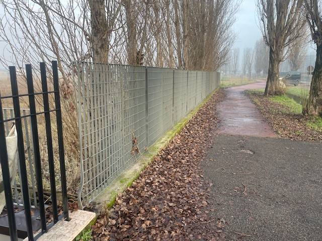 Terreno a Isola della scala - Foto 4