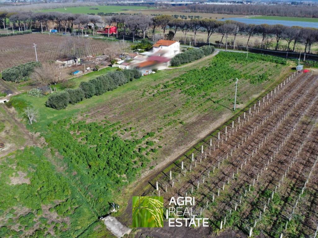 Terreno a Latina in Via Appia - Foto 3