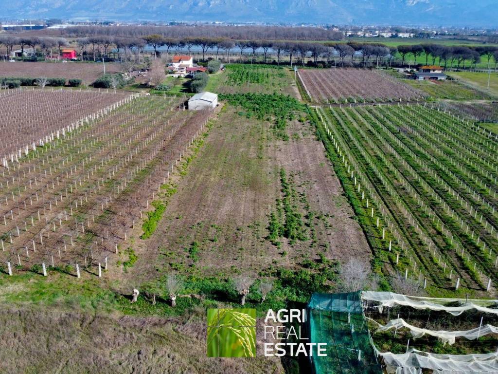 Terreno a Latina in Via Appia - Foto 4