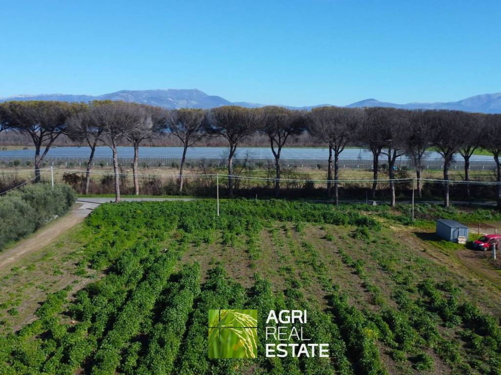Terreno a Latina in Via Appia - Foto 5