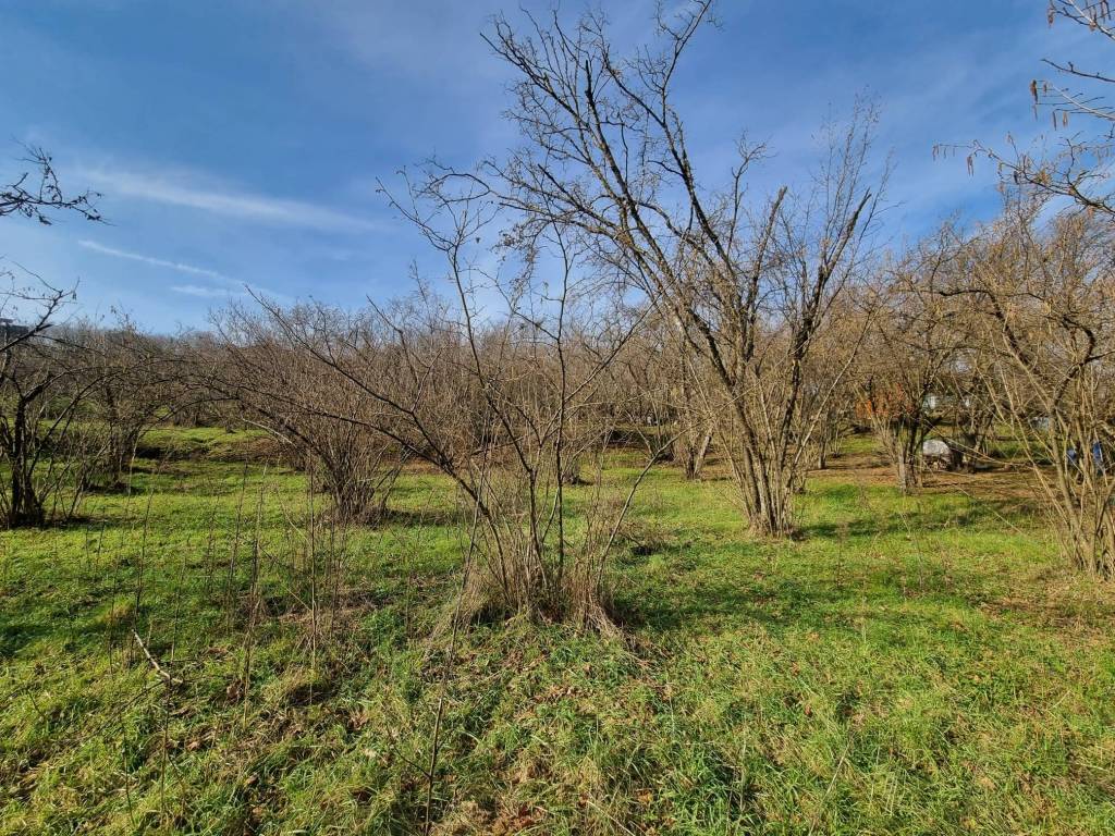 Terreno a Avellino in Contrada Sant'Oronzo, 18 - Foto 2