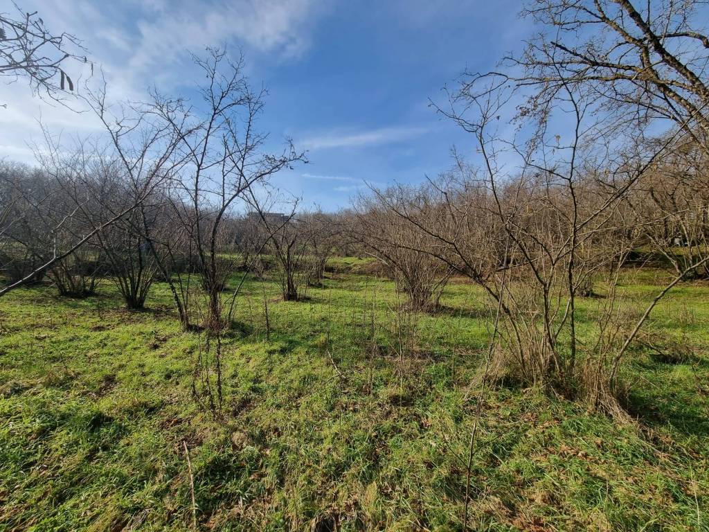 Terreno a Avellino in Contrada Sant'Oronzo, 18 - Foto 3