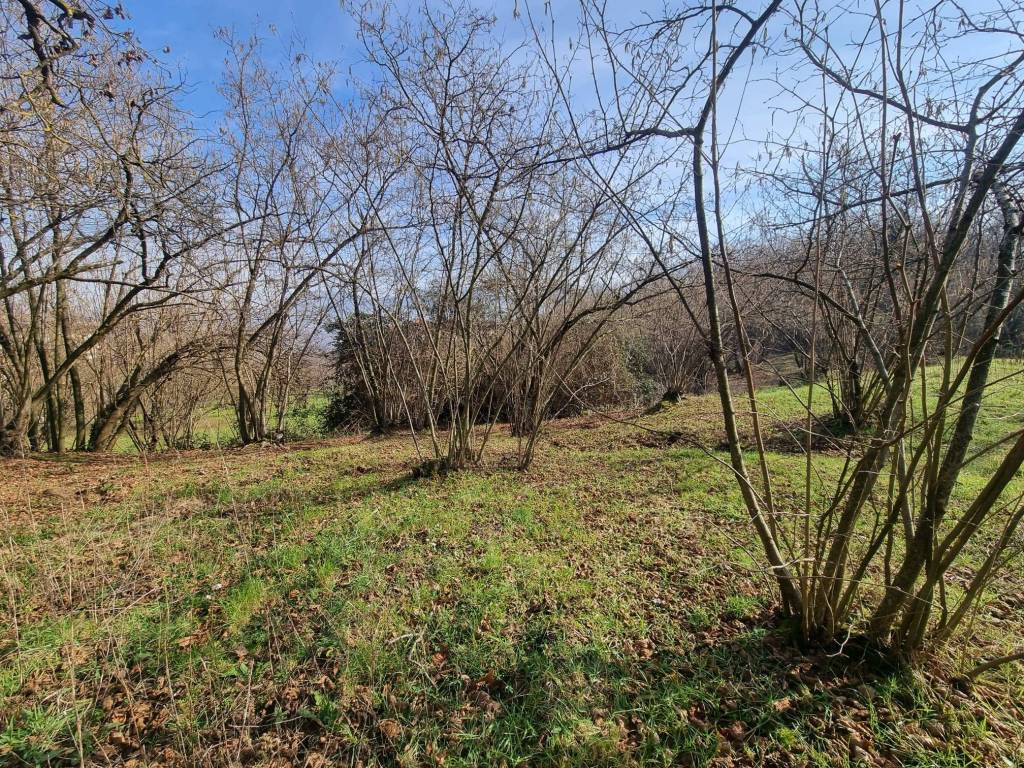 Terreno a Avellino in Contrada Sant'Oronzo, 18 - Foto 4