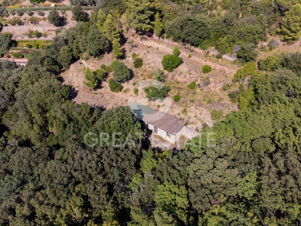 Rustico / casale a Monte argentario - Foto 4