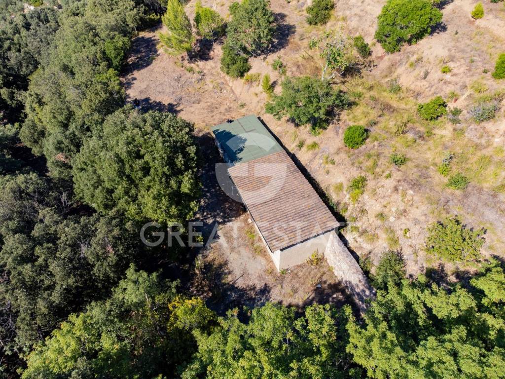 Rustico / casale a Monte argentario - Foto 5