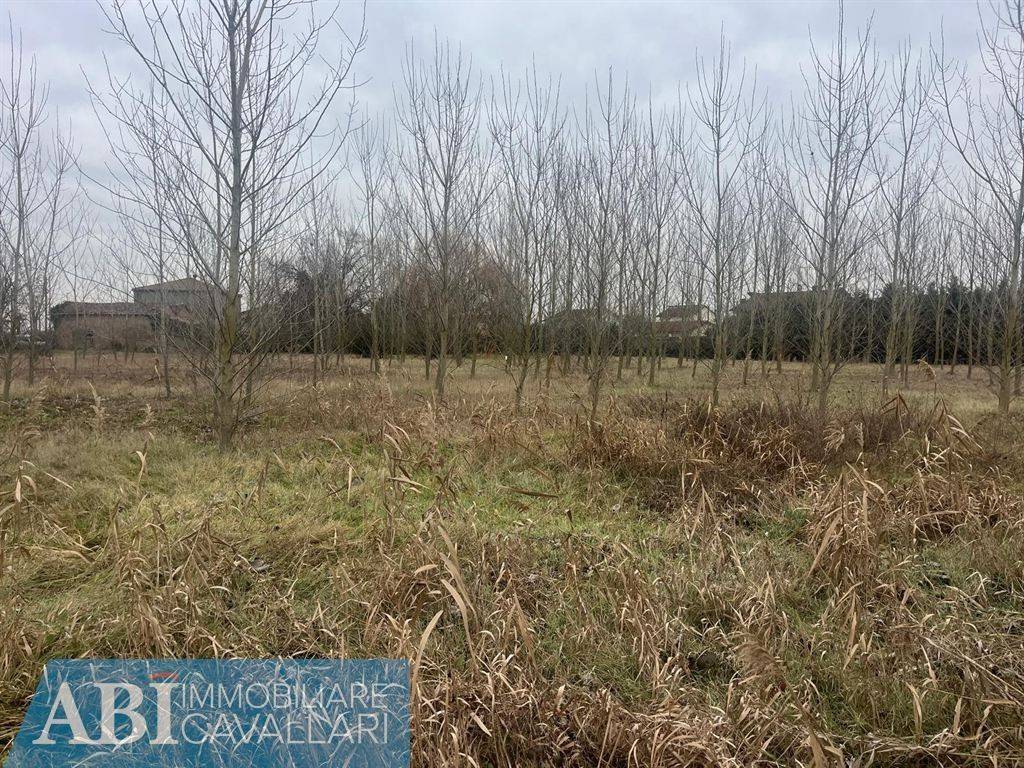 Terreno a Conselice in VIA TURCHIA - Foto 3