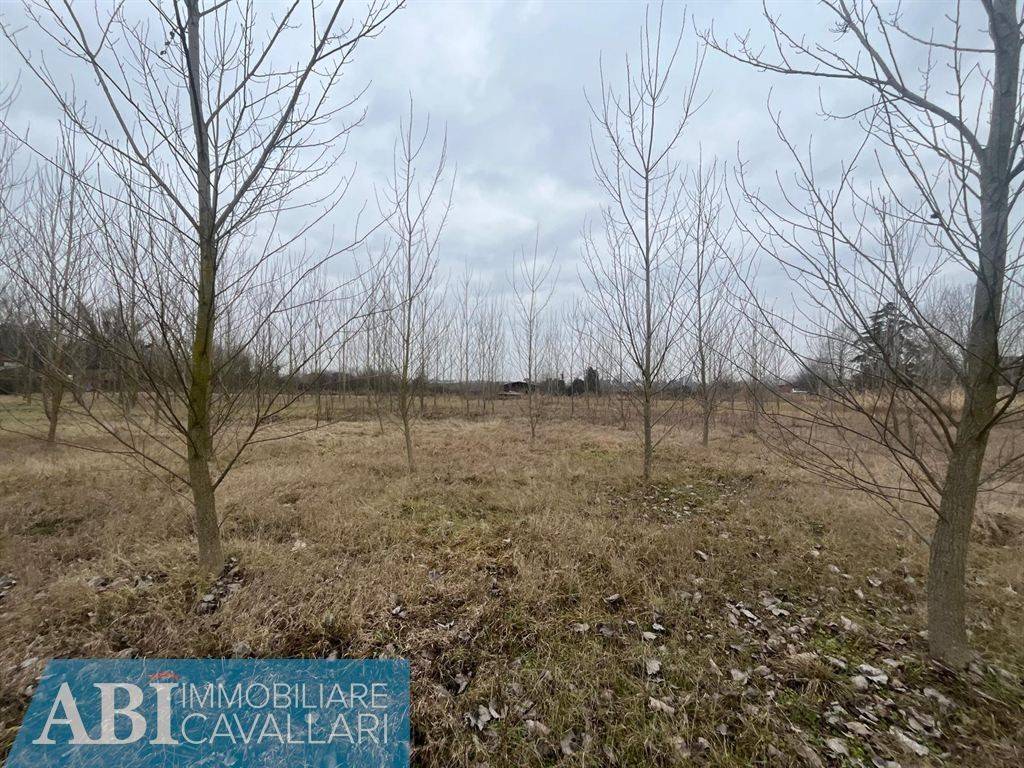 Terreno a Conselice in VIA TURCHIA - Foto 4