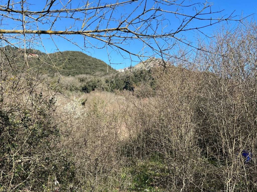 Terreno a Tolfa - Foto 4