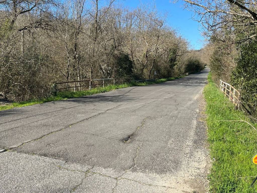 Terreno a Tolfa - Foto 5