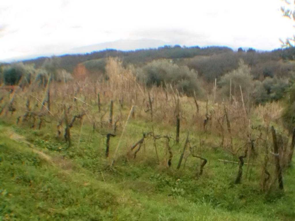 Rustico / casale a Lucca in bocconi - Foto 3