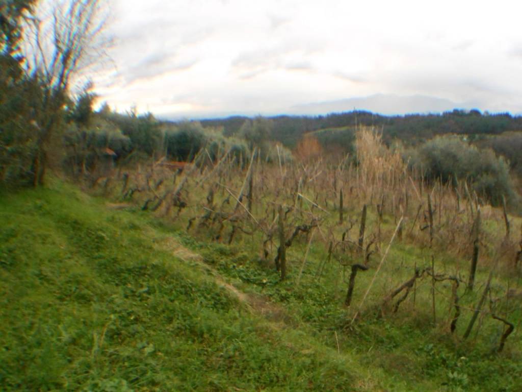 Rustico / casale a Lucca in bocconi - Foto 4