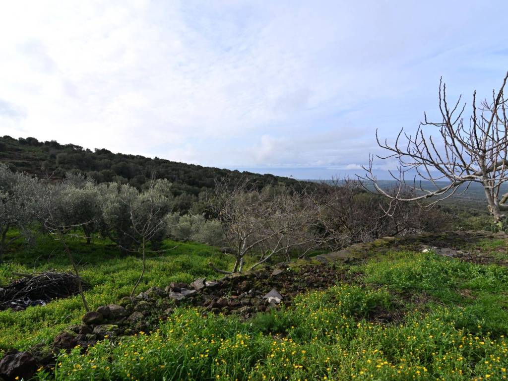Terreno a Cuglieri in SP18 - Foto 5