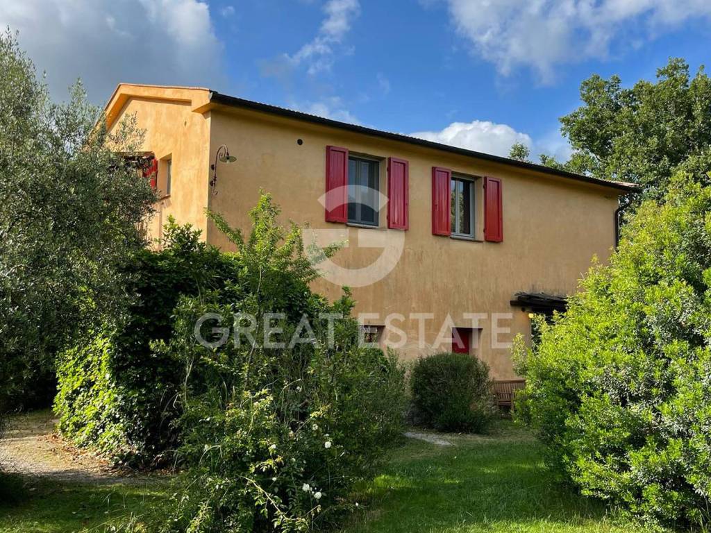 Rustico / casale a Magliano in toscana in Strada Provinciale Poggio alla Mozza - Foto 2