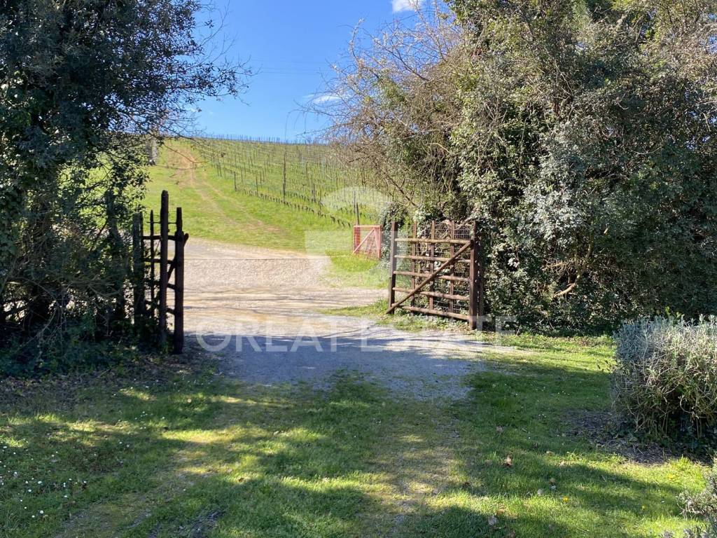 Rustico / casale a Magliano in toscana in Strada Provinciale Poggio alla Mozza - Foto 5