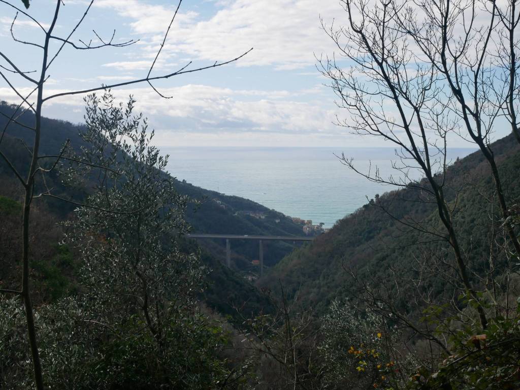 Rustico / casale a Zoagli in Via G. Solari e P. Queirolo, 73 - Foto 3