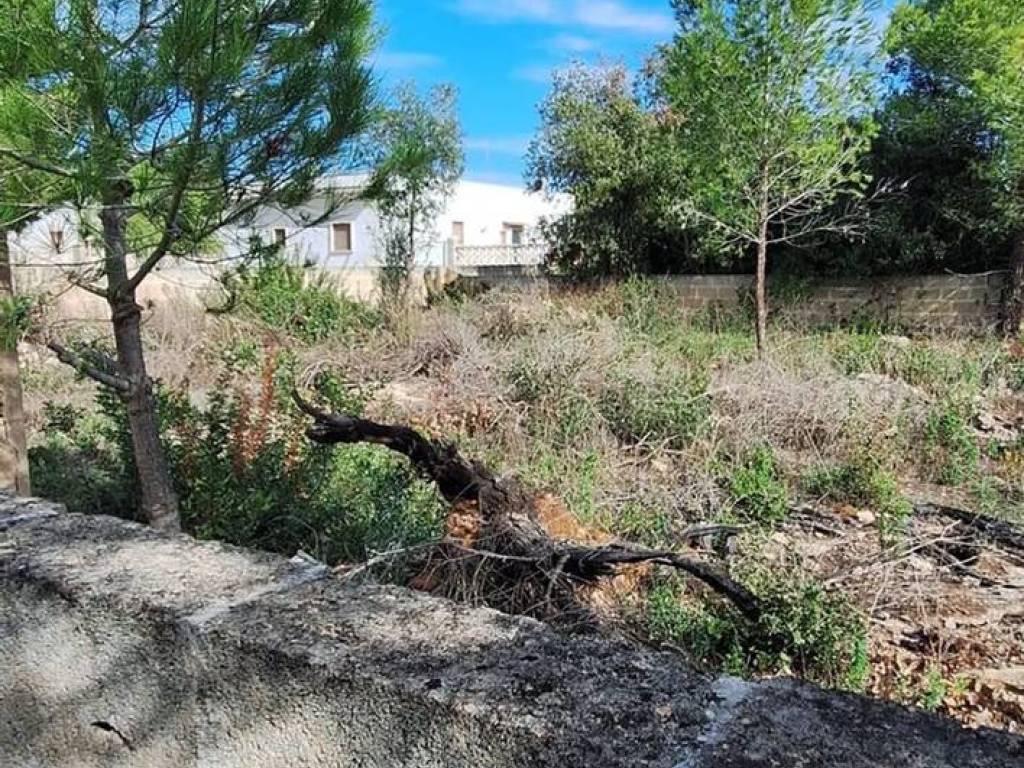 Terreno a Manduria in Via Isole Egadi - Foto 5