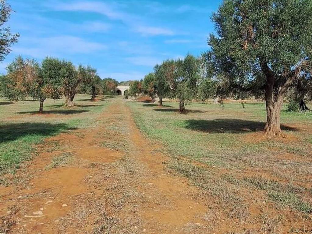 Rustico / casale a Manduria in Strada Provinciale Maruggio - Manduria - Foto 2
