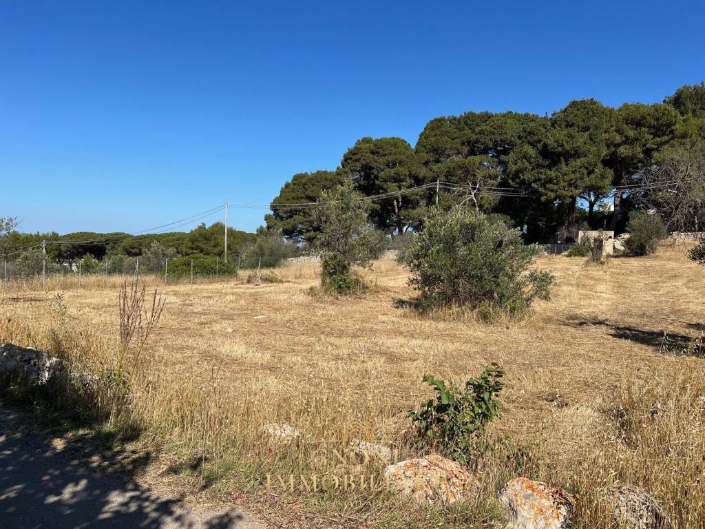 Terreno a Tuglie in Via Indipendenza - Foto 2