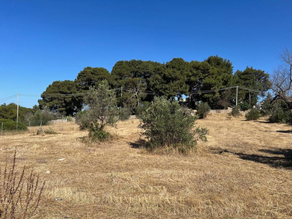Terreno a Tuglie in Via Indipendenza - Foto 3