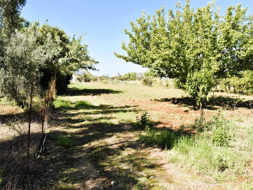 Terreno a Carpino in Strada Vicinale Piscinacchio - Foto 4