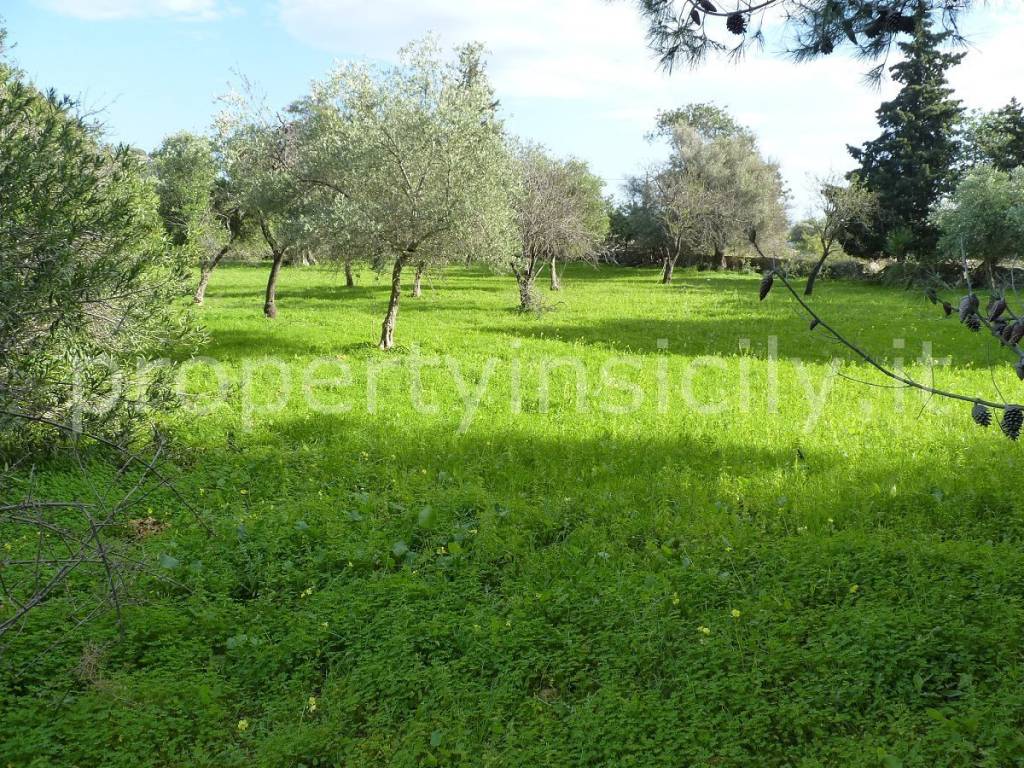 Villa a Noto in SP36 - Foto 4