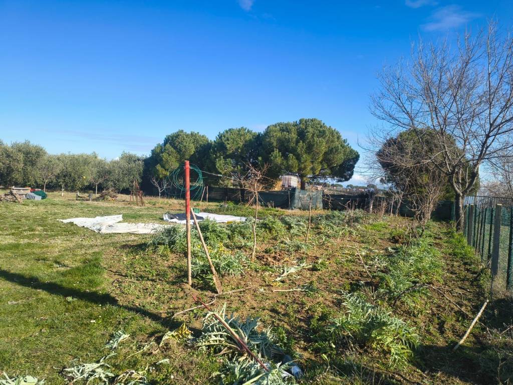 Terreno a Porto sant'elpidio in Via Pescolla - Foto 5