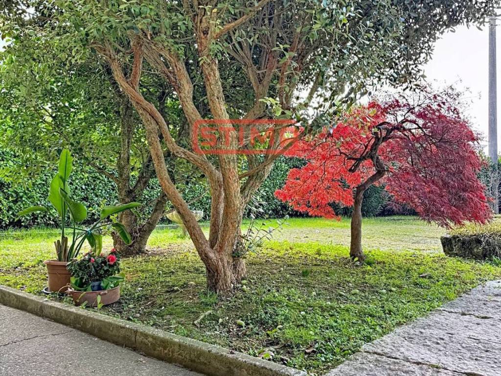 Rustico / casale a Paese - Foto 4