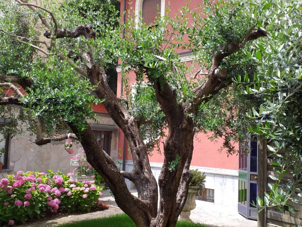 Villa a Asti - Foto 2