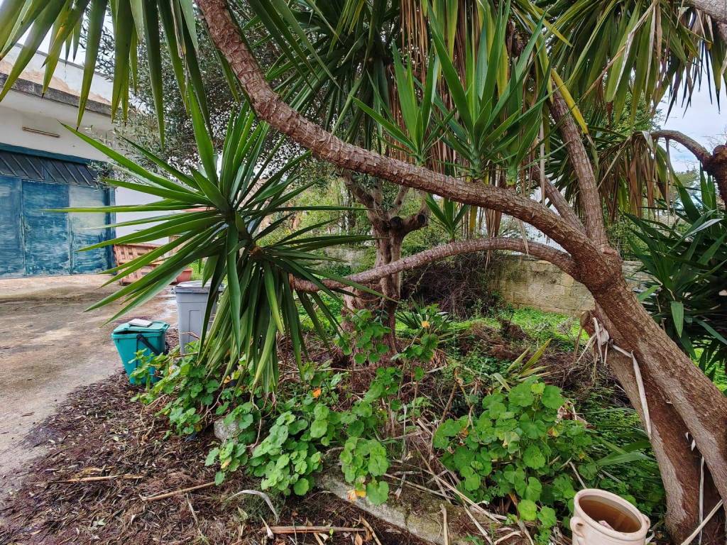 Villa a Grottaglie - Foto 5