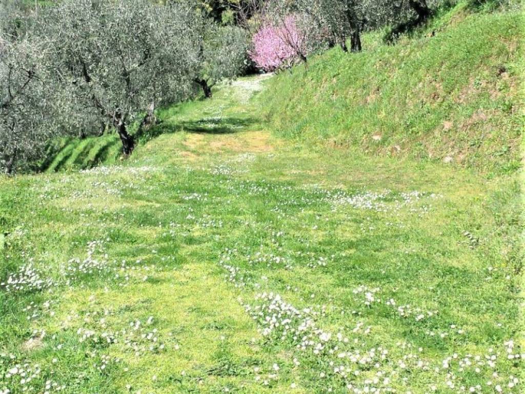 Terreno a Capannori - Foto 2