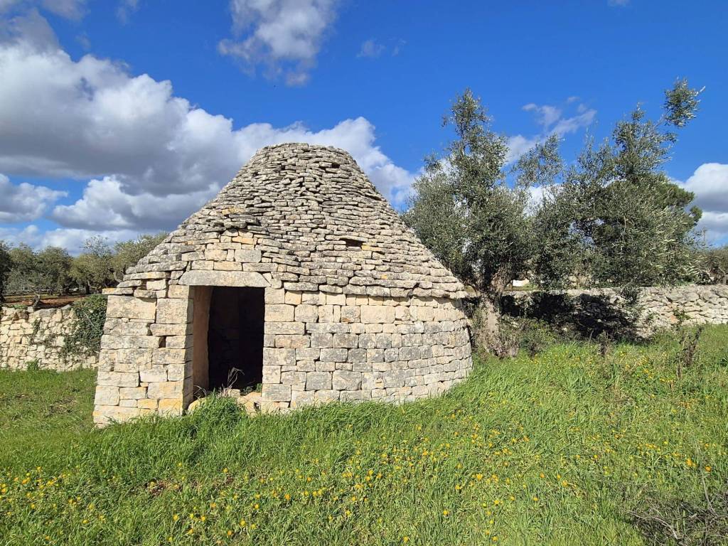 Terreno a Locorotondo in Contrada Grofoleo - Foto 2