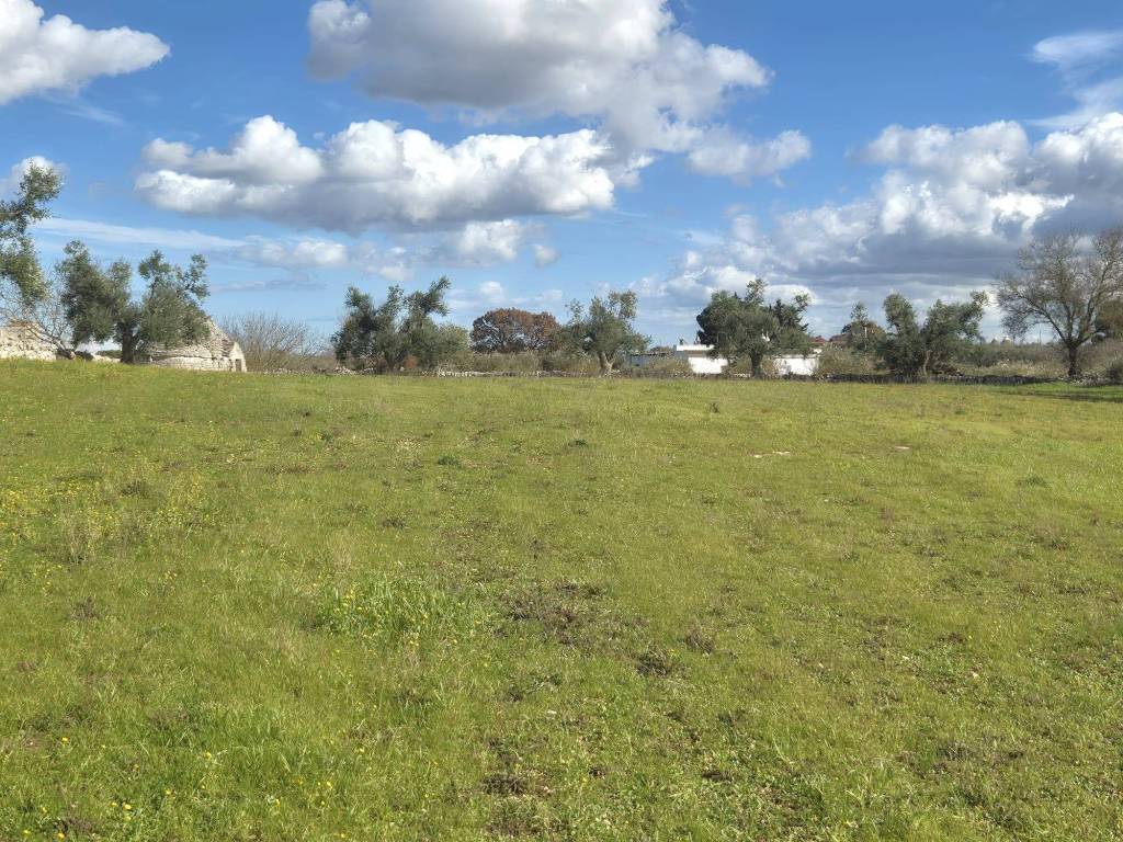 Terreno a Locorotondo in Contrada Grofoleo - Foto 3