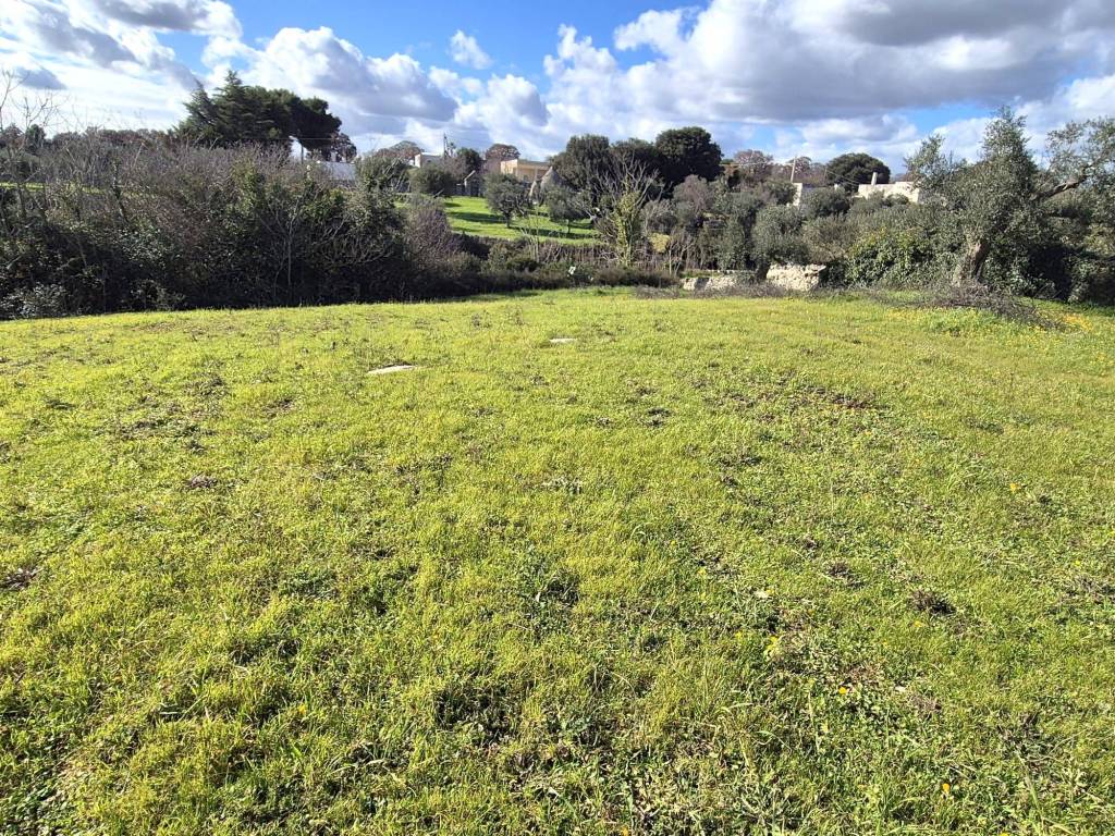Terreno a Locorotondo in Contrada Grofoleo - Foto 4
