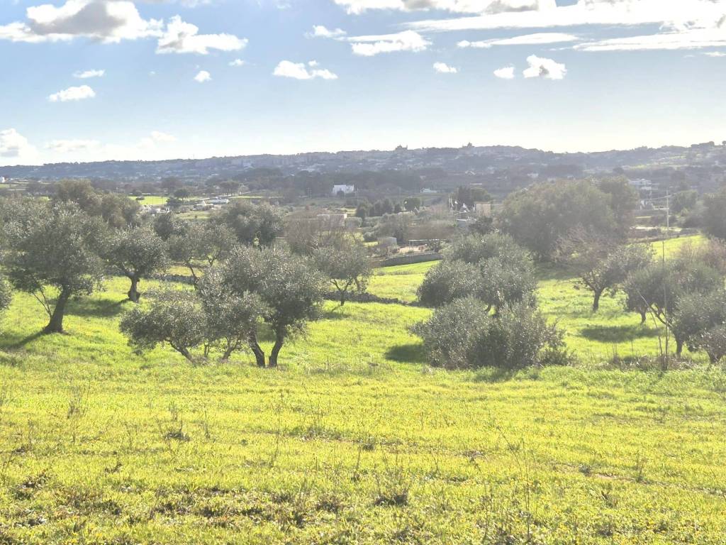 Terreno a Locorotondo in Contrada Grofoleo - Foto 5