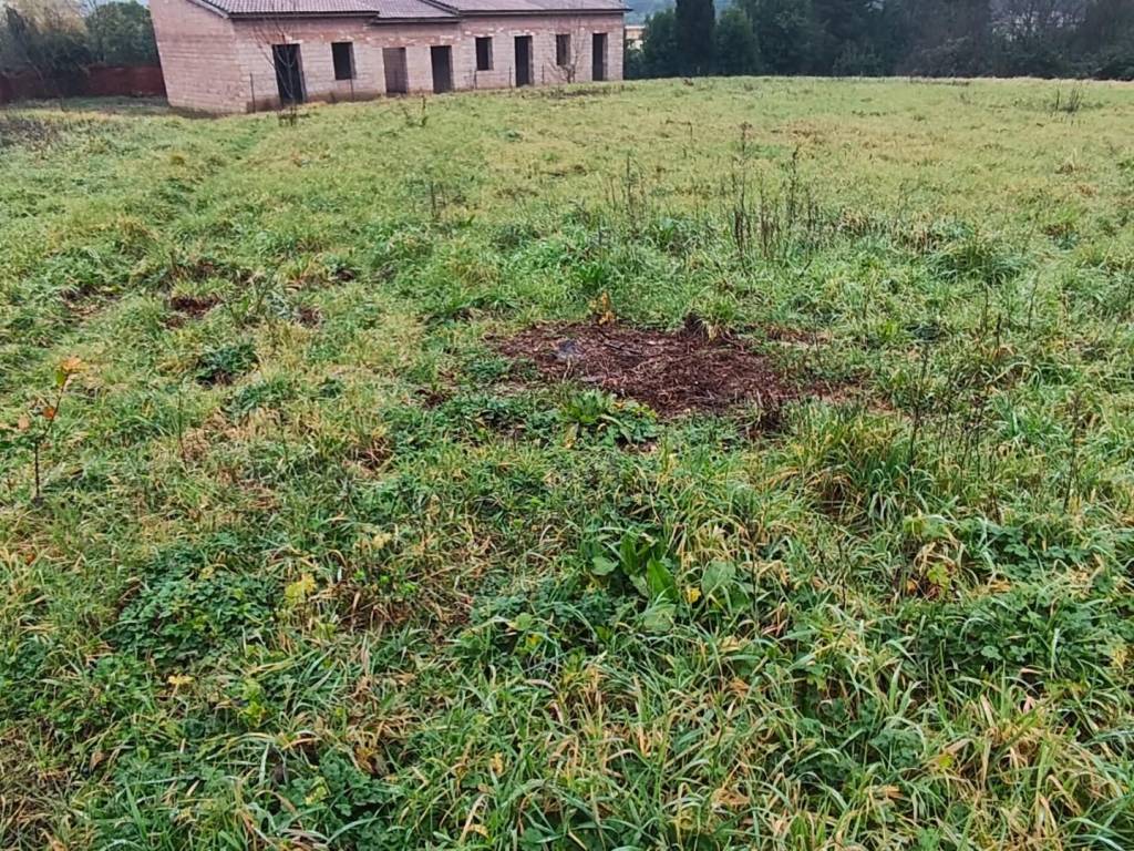 Villa a Lucca in Via Nuova per Pisa - Foto 5