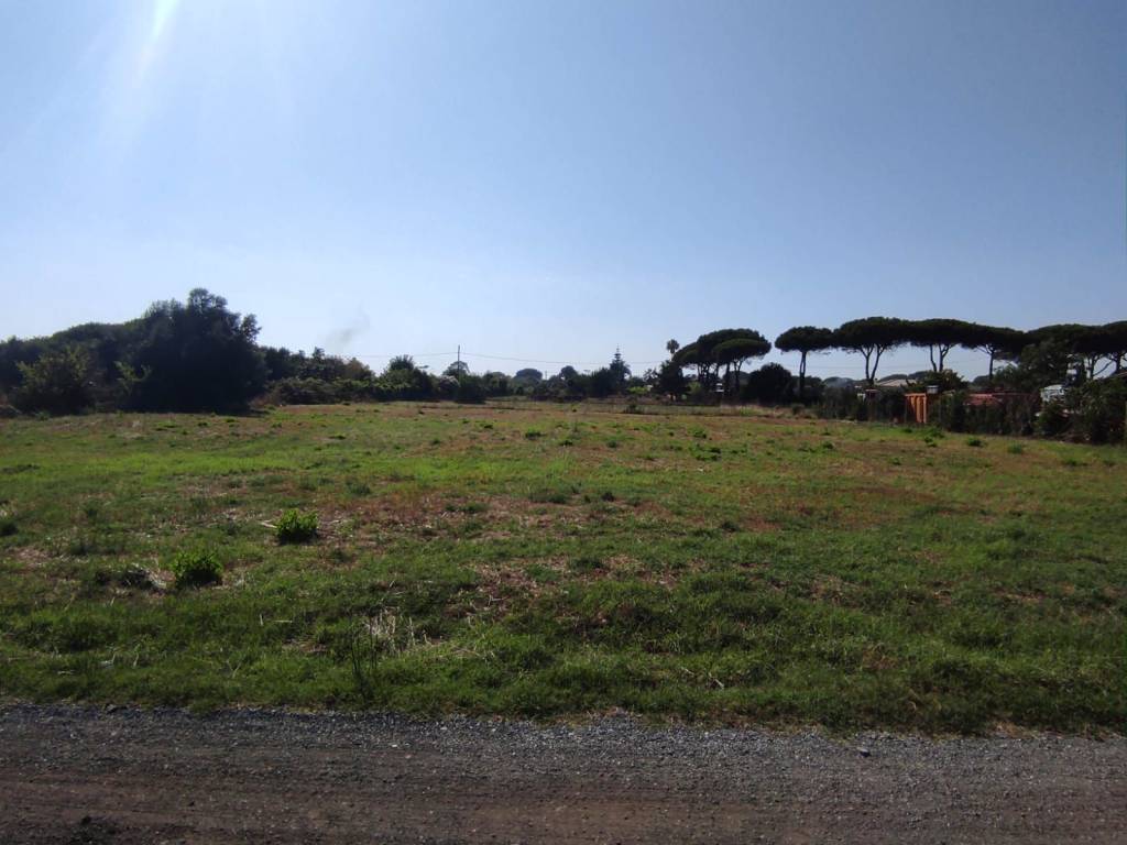 Terreno a Ladispoli - Foto 2