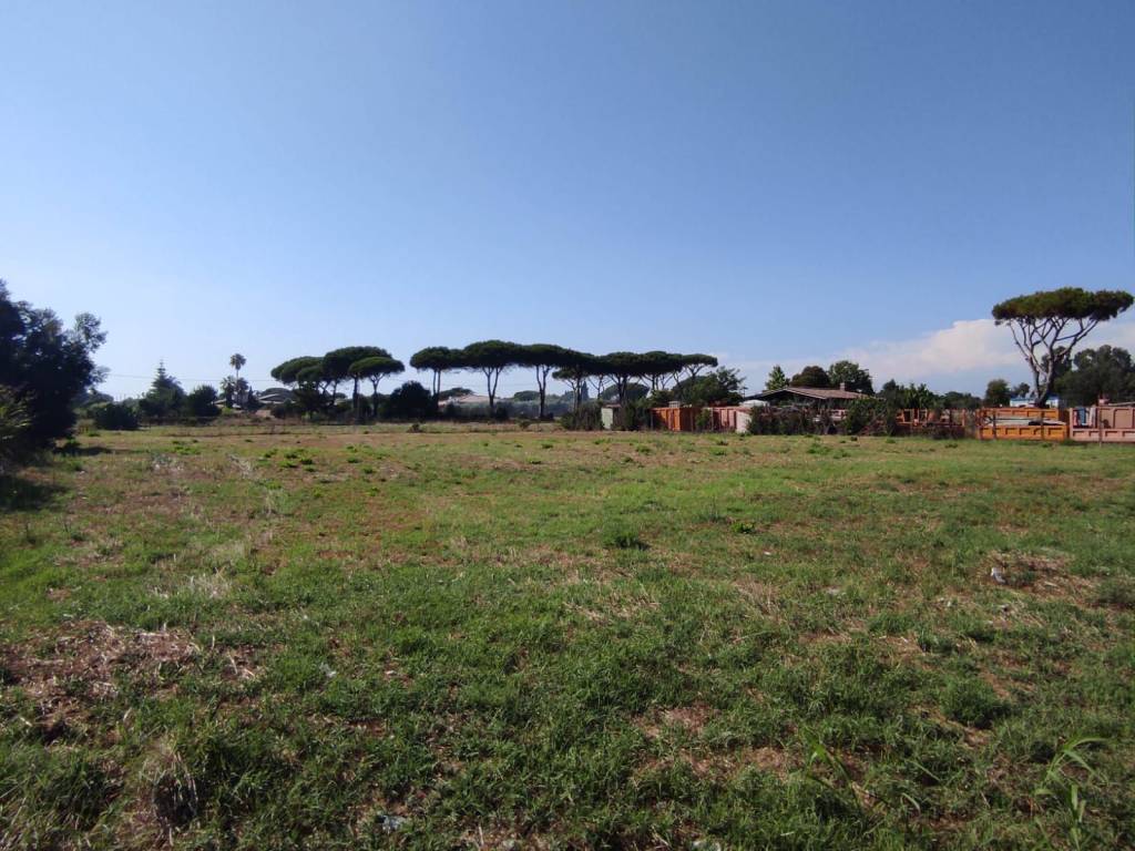 Terreno a Ladispoli - Foto 3
