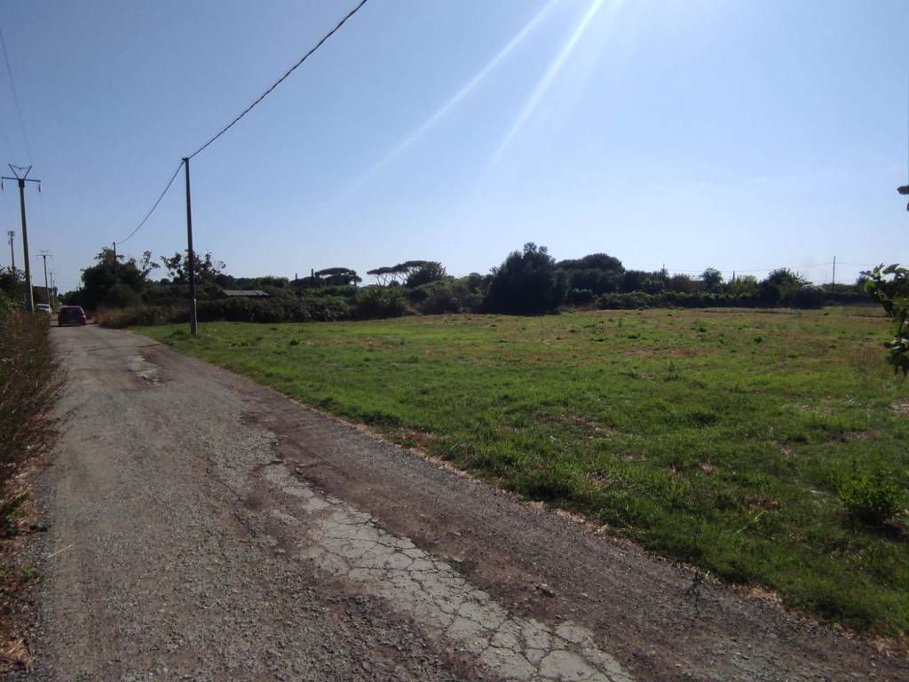Terreno a Ladispoli - Foto 5