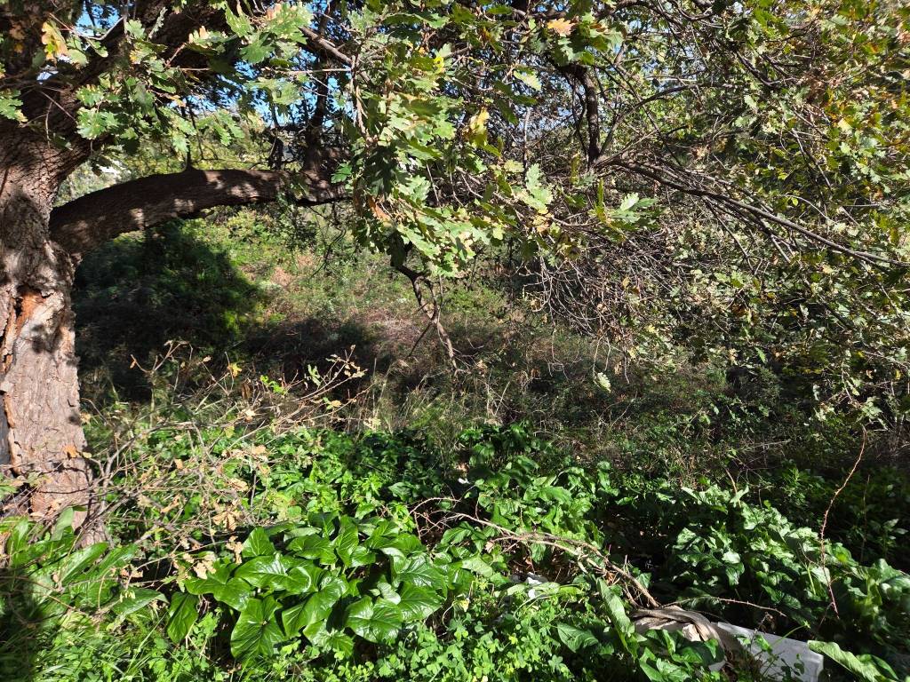 Terreno a Reggio calabria in Via Vico Cilea - Foto 4
