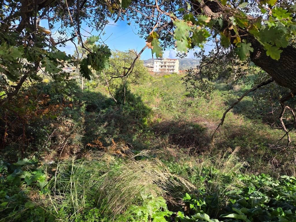 Terreno a Reggio calabria in Via Vico Cilea - Foto 5