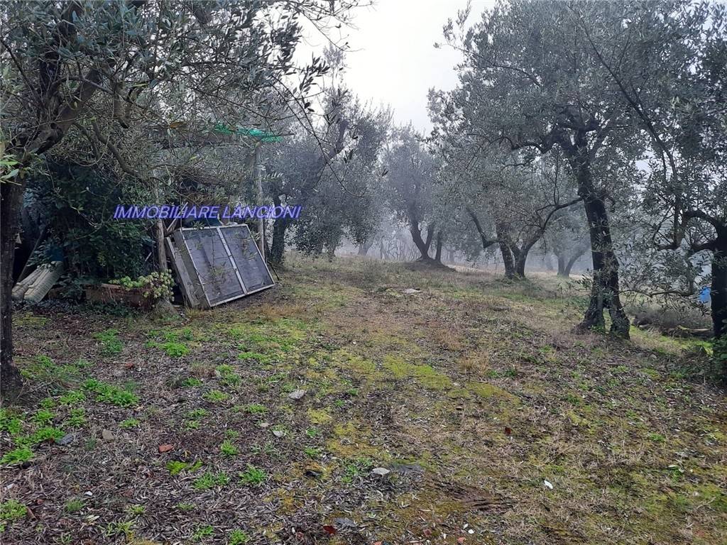 Terreno a Scandicci in VIA DI VINGONE - Foto 3