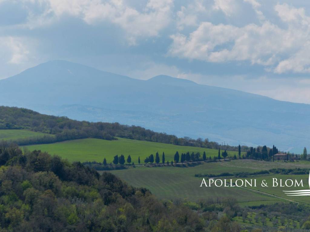 Rustico / casale a Gavorrano in AURELIA - Foto 3