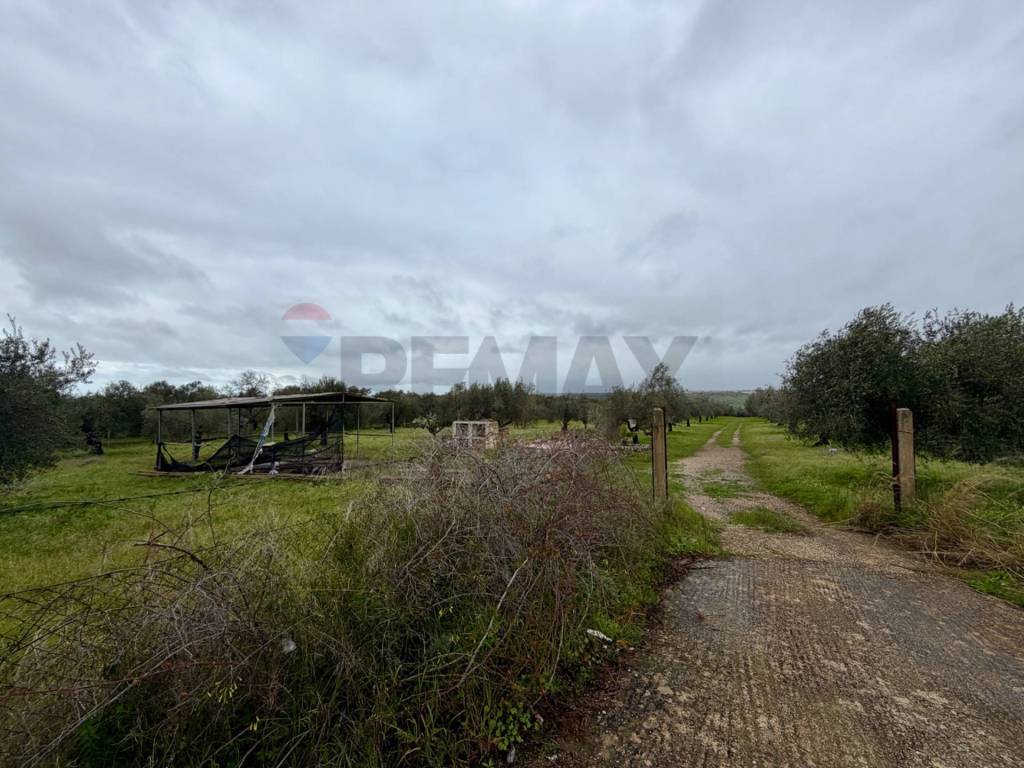 Terreno a Chiaramonte gulfi in C.da Scornavacche - Foto 2