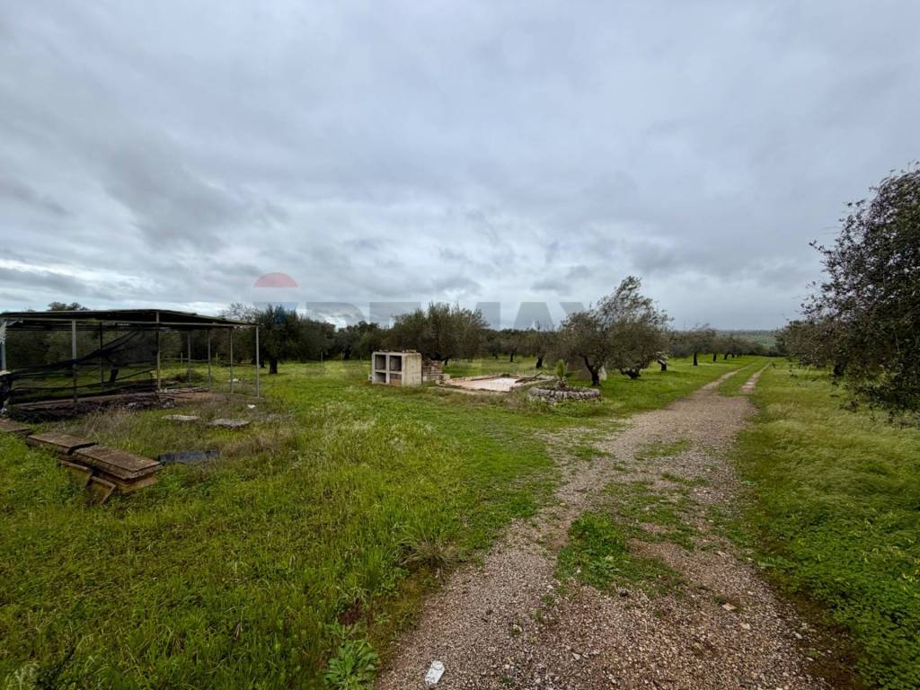 Terreno a Chiaramonte gulfi in C.da Scornavacche - Foto 4