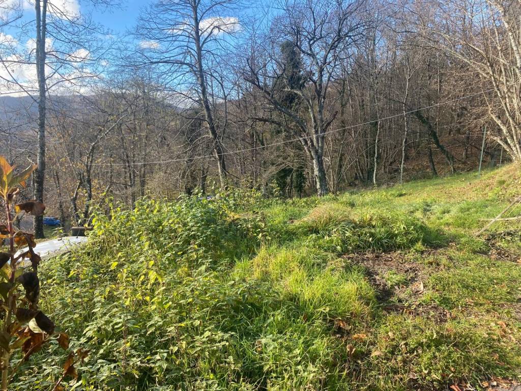 Casa indipendente a Villa basilica - Foto 4