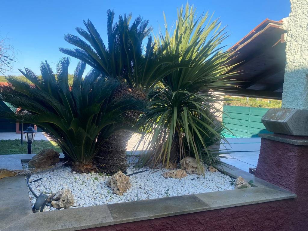 Villa a Ladispoli in Via Venere, 31 - Foto 5