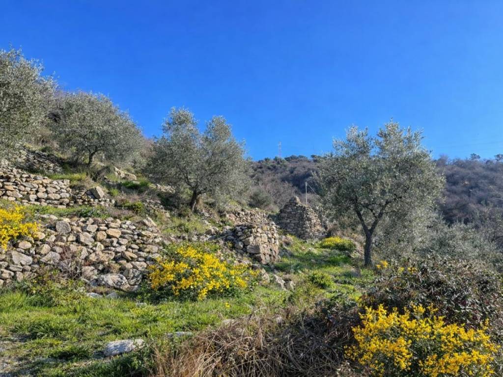 Terreno a Villa faraldi in Via San Damiano - Foto 3